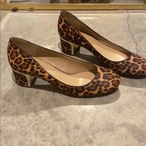 Ann Taylor leopard print heels